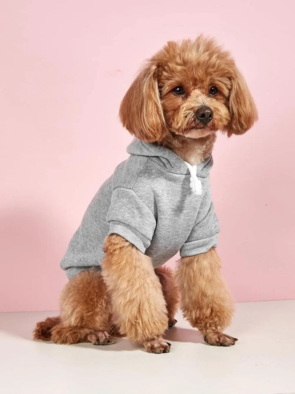 Cozy Dog Hoodie Sweatshirt for Small Dogs & Cats - Warm Pet Costume, X-Small
